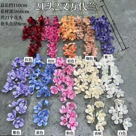 RỦ NGỌC LAN VANDA 2 NHÁNH