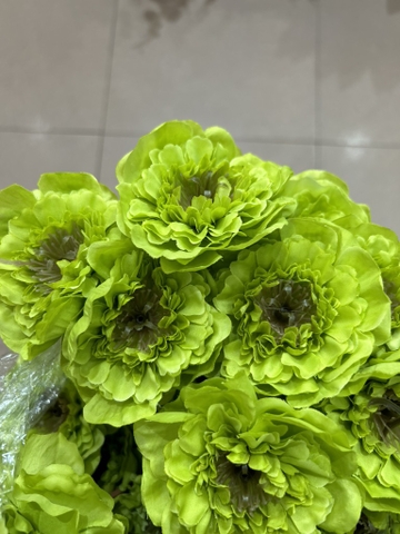 HOA TRÀ TRÀM 4B