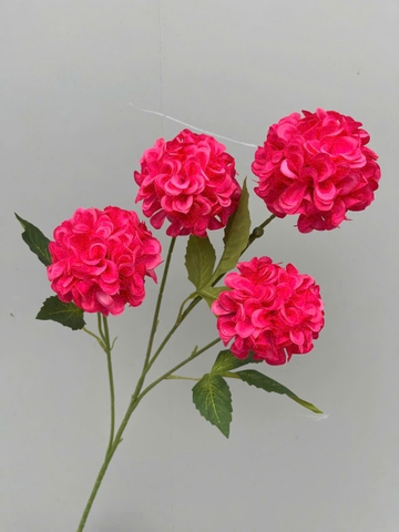 TỔ ONG 4B