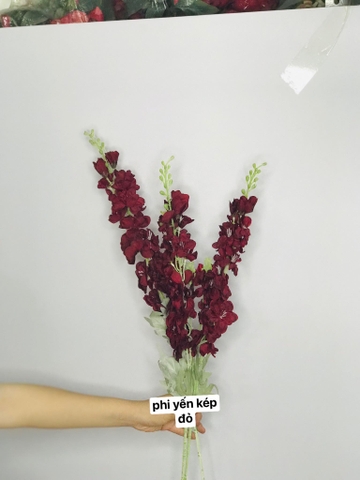 HOA PHI YẾN KÉP