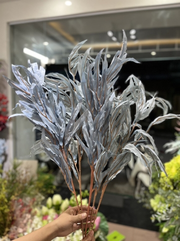 LÁ SỪNG RỒNG
