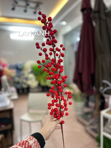 HOA ĐÀO ĐÔNG