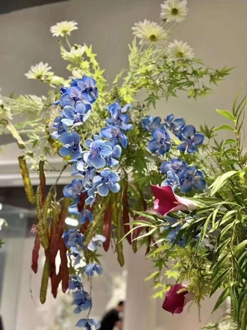 RỦ NGỌC LAN VANDA 2 NHÁNH