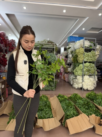 LÁ LỘC NGŨ GIA BÌ