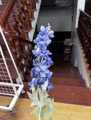 TONE XANH DƯƠNG BLUE