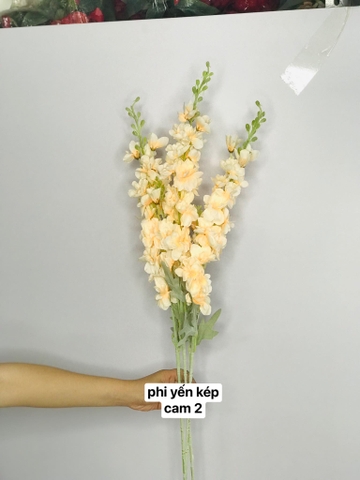 TONE KEM BE