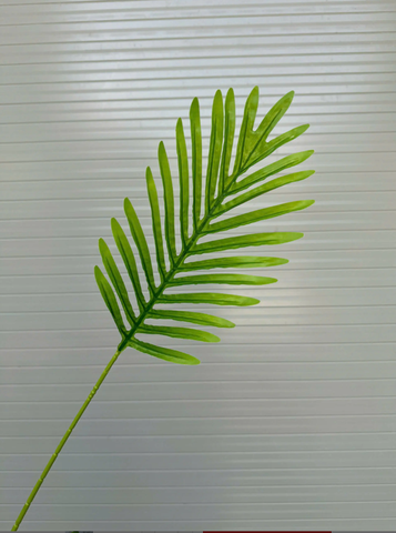 LÁ DỪA