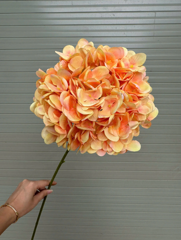 HOA TÚ CẦU 3D