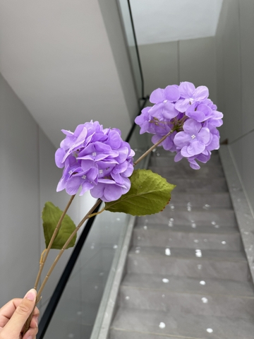 TÚ CẦU 2B VẢI