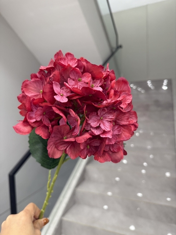 HOA TÚ CẦU TUYẾT 20CM