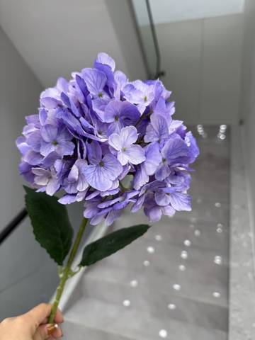 HOA TÚ CẦU TUYẾT 20CM