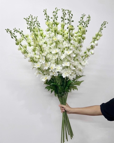 HOA PHI YẾN CAO CẤP VIP