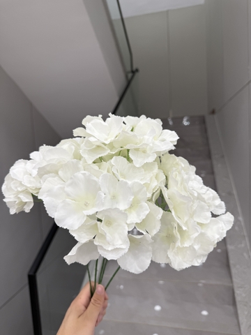 HOA TÚ CẦU 5B