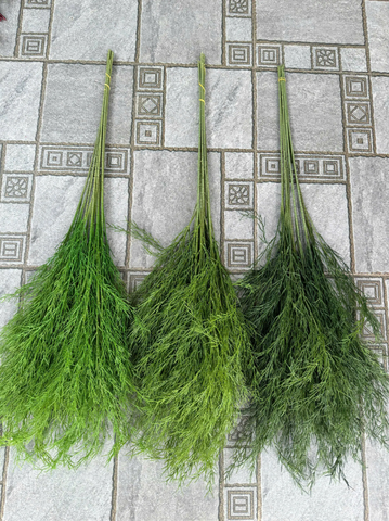 RỦ TIÊU