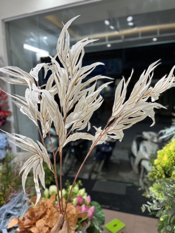 LÁ SỪNG RỒNG