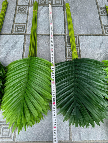 LÁ DỪA