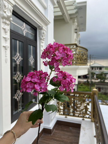 HOA TÚ CẦU NHỰA 3B VIP