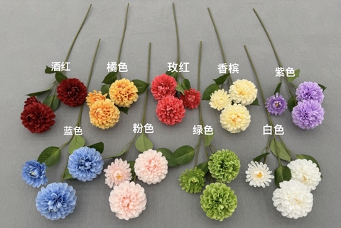 TỔ ONG 2B 1N