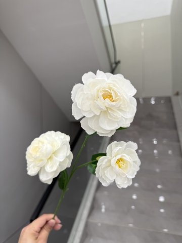 HẢI ĐƯỜNG 3B