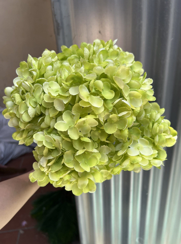 TÚ CẦU CỤM