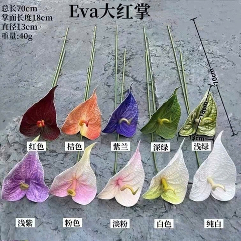 HOA MÔN XOĂN