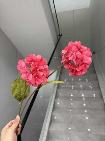 TÚ CẦU 2B VẢI