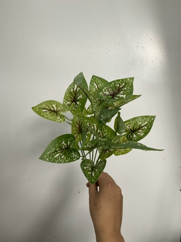 CỤM LÁ BÉ