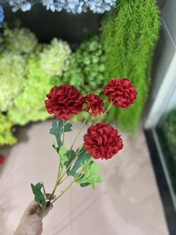 TỔ ONG 4B