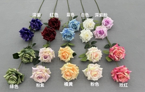 HOA HỒNG KẸO