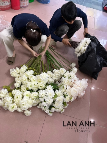 TONE TRẮNG