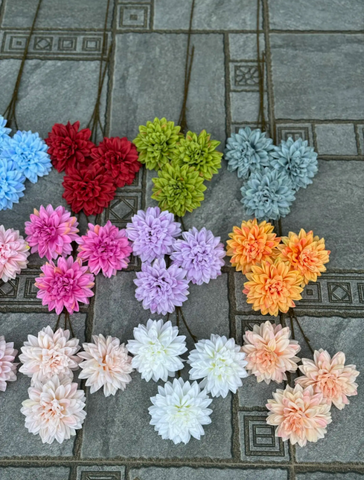 HOA THƯỢC DƯỢC 3B