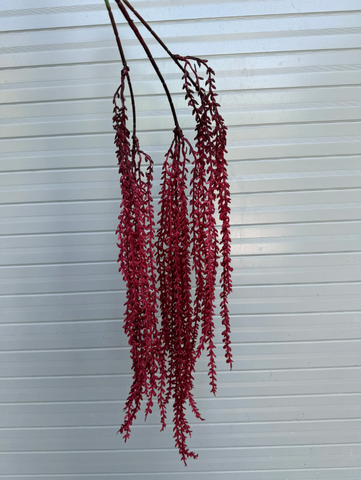RỦ GẠO
