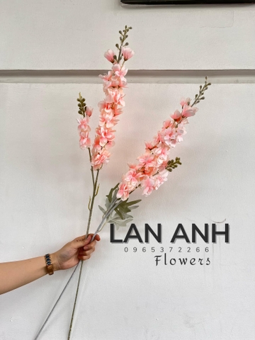 TONE HỒNG NHẠT