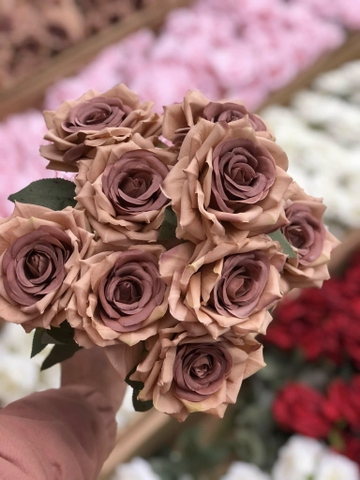 HOA HỒNG GẤM LÁ ĐỐM 9B