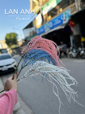 TONE HỒNG NHẠT