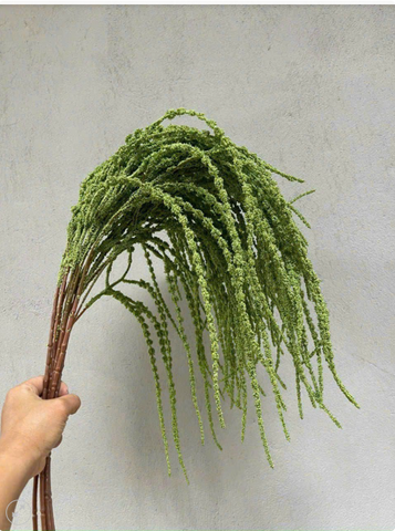 RỦ DỀN XỐP RẺ