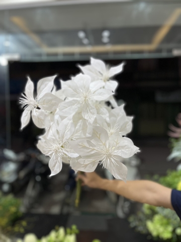 LÁ TRẠNG NGUYÊN
