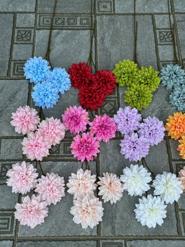 HOA THƯỢC DƯỢC 3B