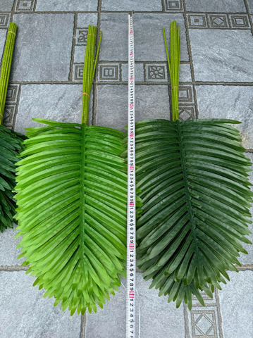 LÁ DỪA