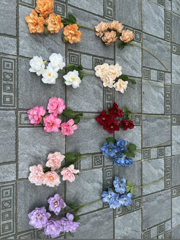 HOA HẢI QUỲ
