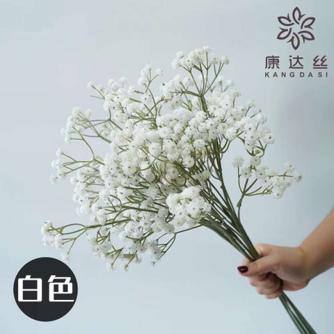 TONE TRẮNG