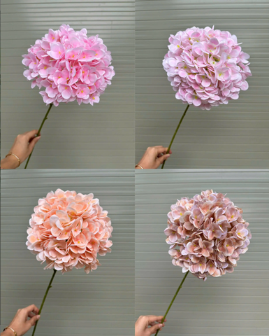 HOA TÚ CẦU 3D