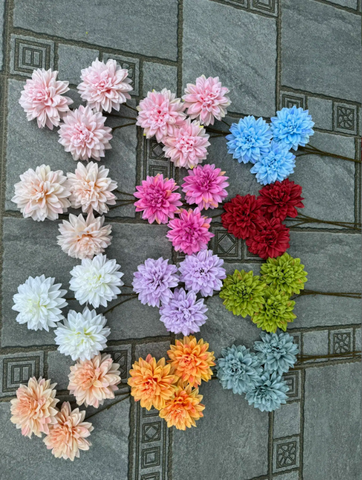 HOA THƯỢC DƯỢC 3B