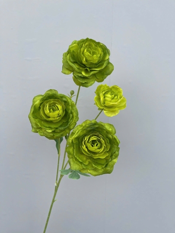 HOA MAO LƯƠNG