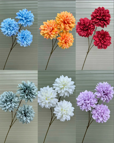 HOA THƯỢC DƯỢC 3B