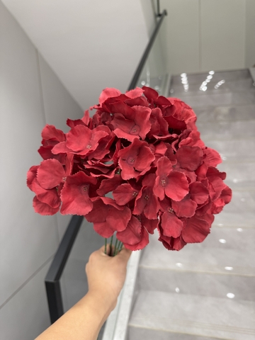 HOA TÚ CẦU 5B