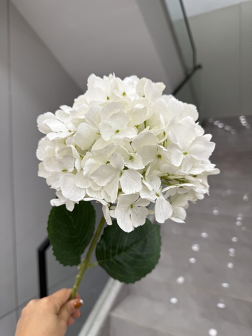 HOA TÚ CẦU TUYẾT 20CM