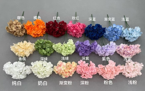 HOA TÚ CẦU 5B