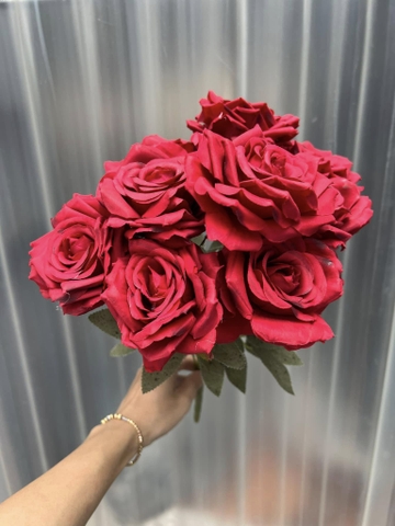 HOA HỒNG GẤM LÁ ĐỐM 9B