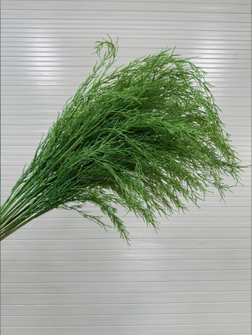 RỦ TIÊU